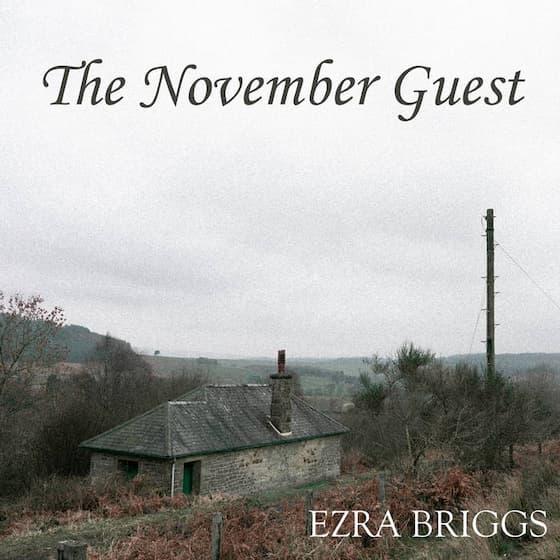 The November Guest
